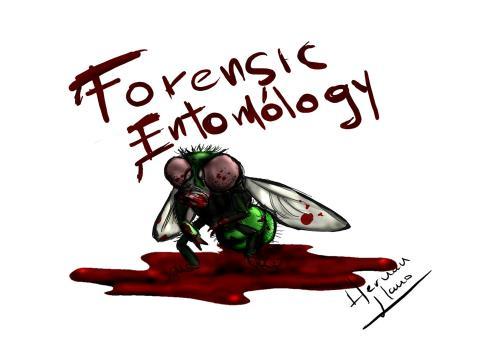 Forensic Entomology Webcast
